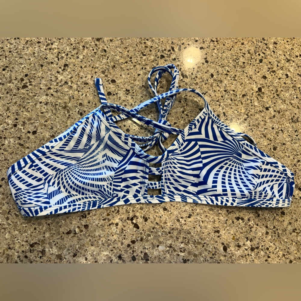 Jolyn Clothing Blue and White Bikini Top